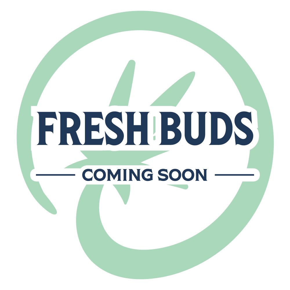 lahaze fresh buds coming soon